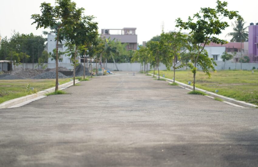 Home 1 1 SM Garden 6